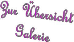 Zur bersicht Galerie